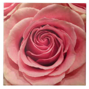Peach Rose Ceramic Tile