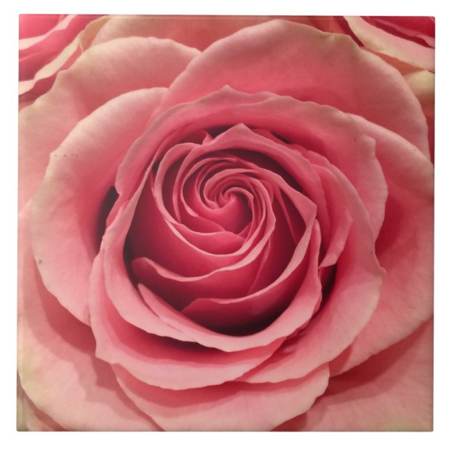 Peach Rose Ceramic Tile (Front)
