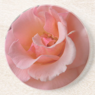 Peach Rose Coasters Wild Rose Gifts Keepsake Decor