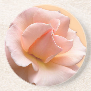 Peach Rose Coasters Wild Rose Gifts Keepsake Decor
