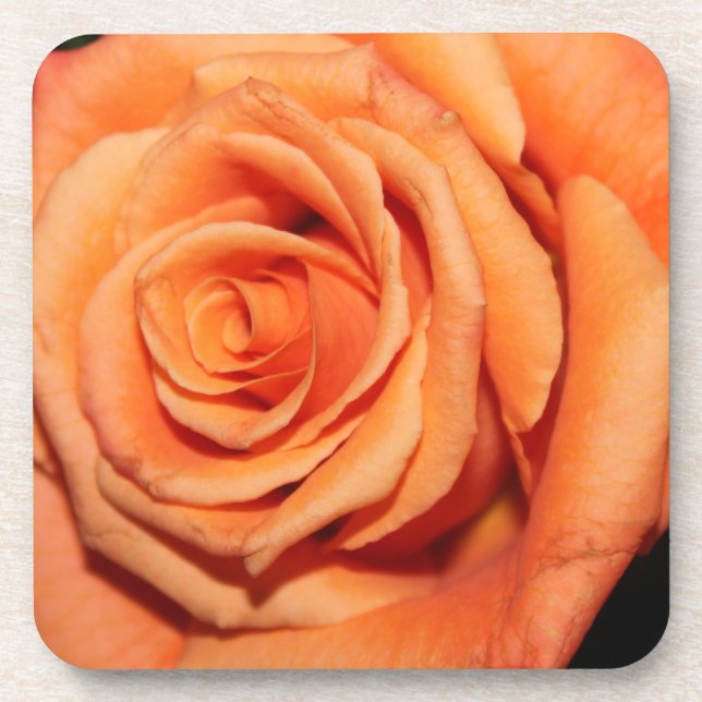 Peach  Rose Cork Coaster (Front)