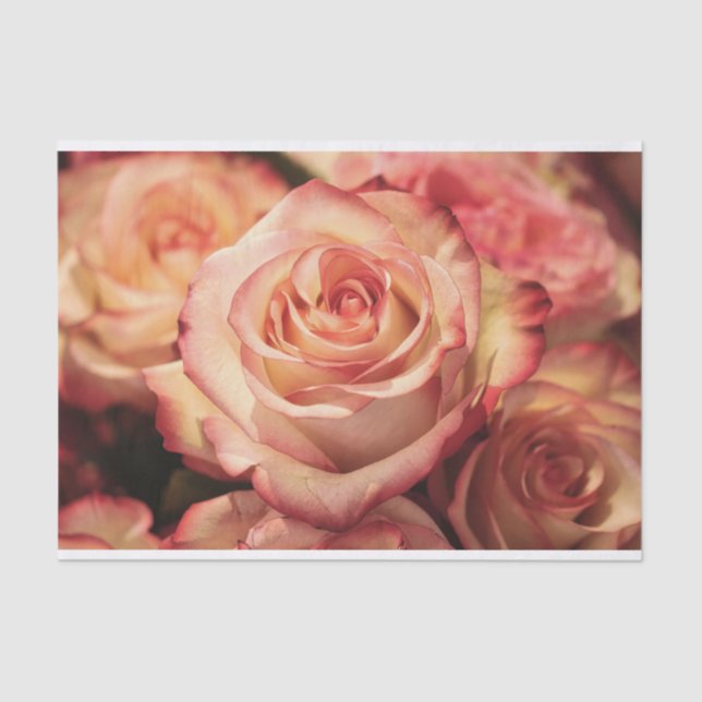 peach rose flower tissue paper (Front)