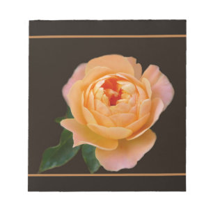 Peach Rose Macro Notepad