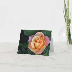 Peach Rose Notecard