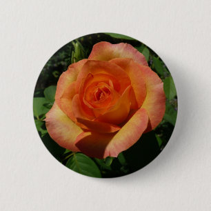 Peach Rose Orange Floral Photography 6 Cm Round Badge