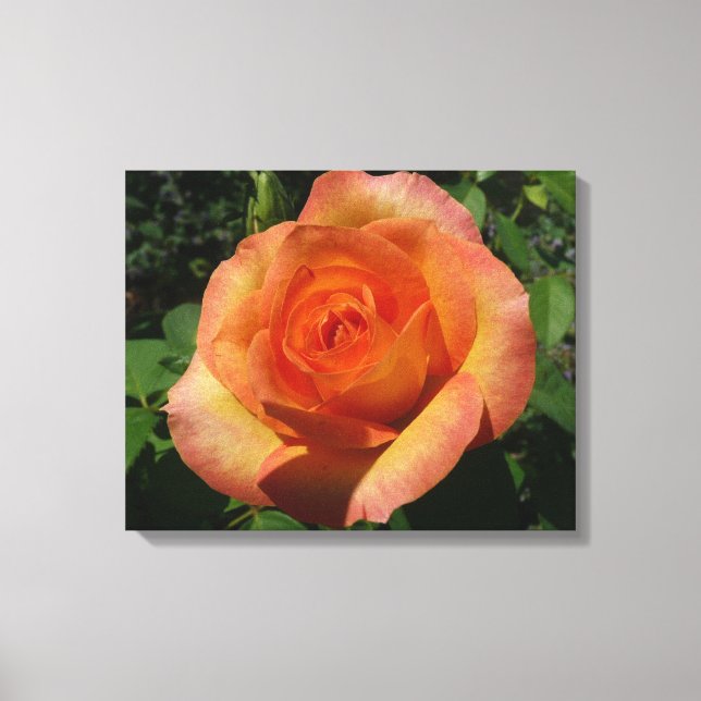 Peach Rose Orange Floral Photography Canvas Print (Front)