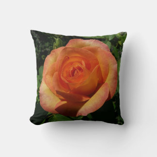 Peach Rose Orange Floral Photography Cushion