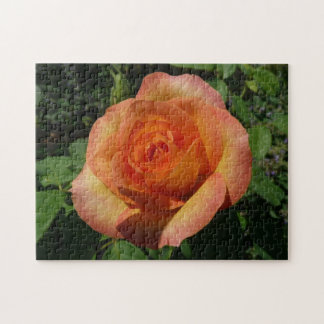 Peach Rose Orange Floral Photography Jigsaw Puzzle