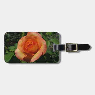 Peach Rose Orange Floral Photography Luggage Tag