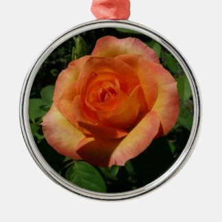 Peach Rose Orange Floral Photography Metal Tree Decoration