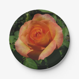 Peach Rose Orange Floral Photography Paper Plate