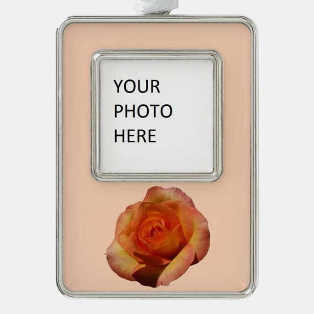 Peach Rose Orange Floral Photography Silver Plated Framed Ornament (Front)