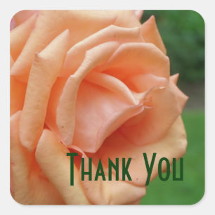 Peach Rose Petals Flower Thank You Square Sticker