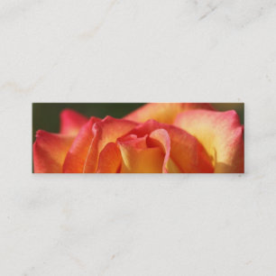 PEACH ROSE PROFILE CARDS