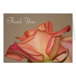 Peach Rose Stylish Card