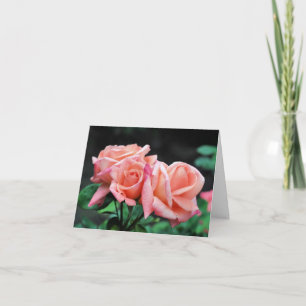 Peach Rose Trio Flower Photography Note Card