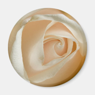 Peach Rose Wedding Magnet