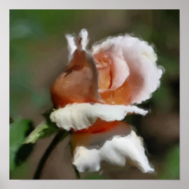 Peach Rosebud Flower Art  Poster (Front)