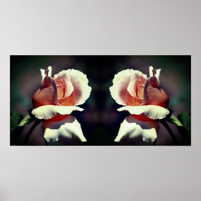 Peach Rosebud Flower Close Up Mirror Abstract Poster (Front)