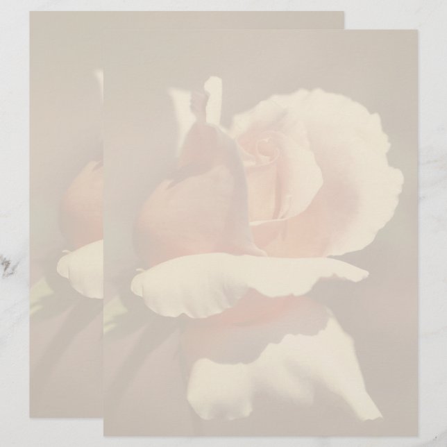 Peach Rosebud Flower Nature Custom Letterhead (Front/Back)