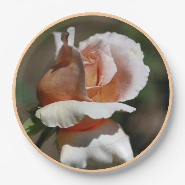 Peach Rosebud Party   Paper Plate (Front)