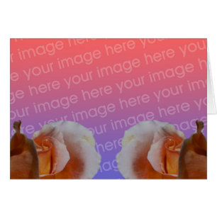 Peach Rosebuds Floral Your Photo Card
