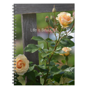 Peach Roses Fence Floral (my photography) Notebook