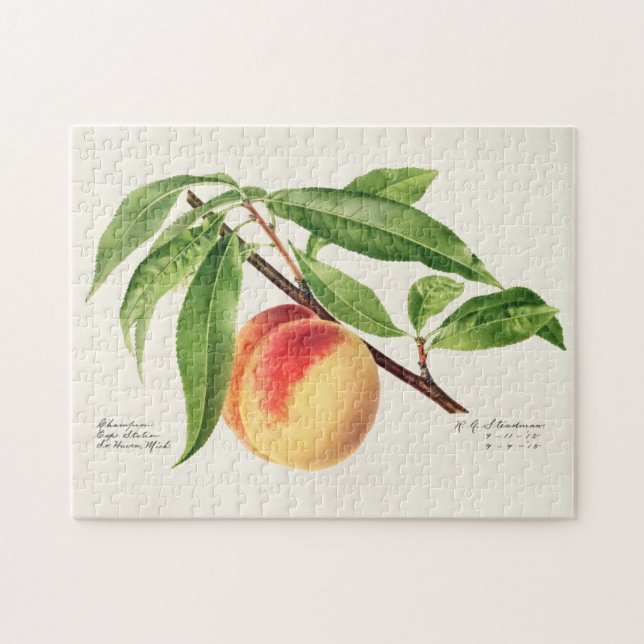 Peach Twig (Prunus Persica) Fruit Painting Jigsaw Puzzle (Horizontal)