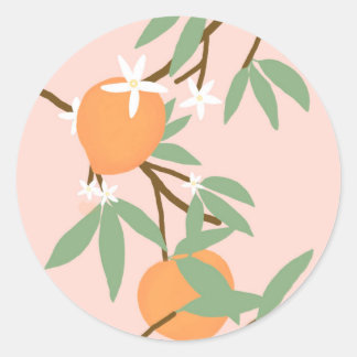 Peaches and flowers classic round sticker