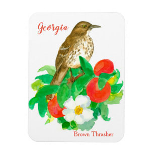 Peaches Cherokee Rose Bird Watercolor Magnet