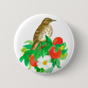 Peaches Fruit Tree Cherokee Rose Flowers 6 Cm Round Badge