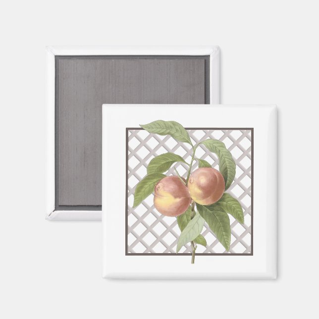 PEACHES MAGNET (Front/Back)