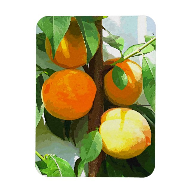 PEACHES MAGNET (Vertical)