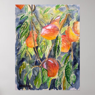 peaches peach still life art poster