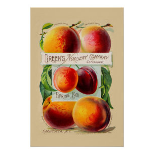 Peaches Poster