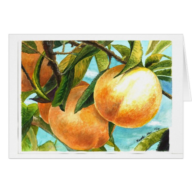 Peaches ready to be plucked (Front Horizontal)