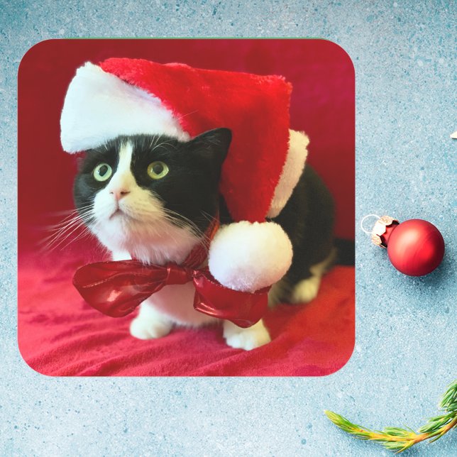 Peaches the Tuxedo Cat Christmas Stickers (Creator Uploaded)
