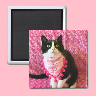 Peaches the Tuxedo Cat Pink Magnet