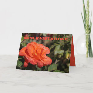 Peachy Floral Congratulations card