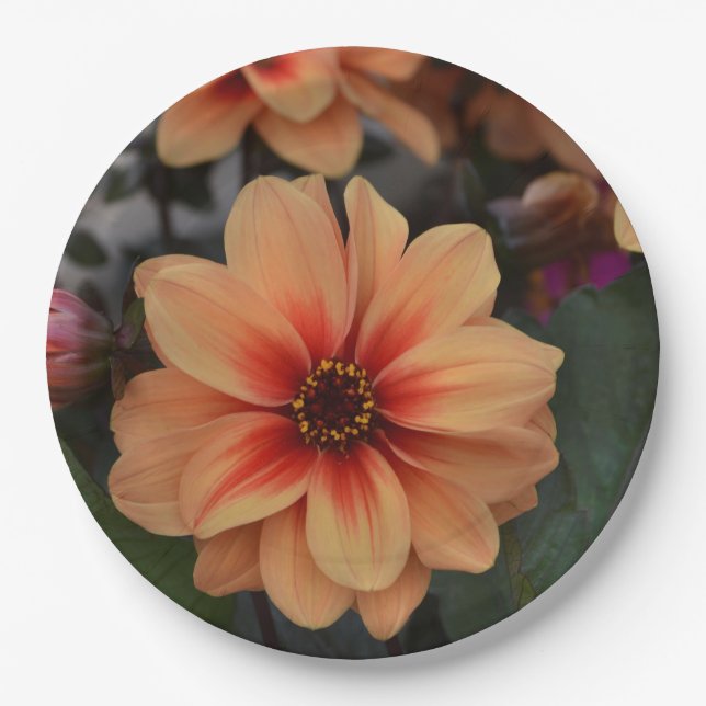Peachy Floral Paper Plate (Front)