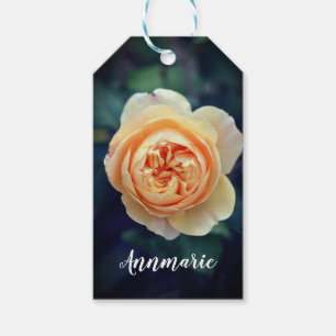 Peachy Orange Garden Rose Flower Happy  Birthday Gift Tags
