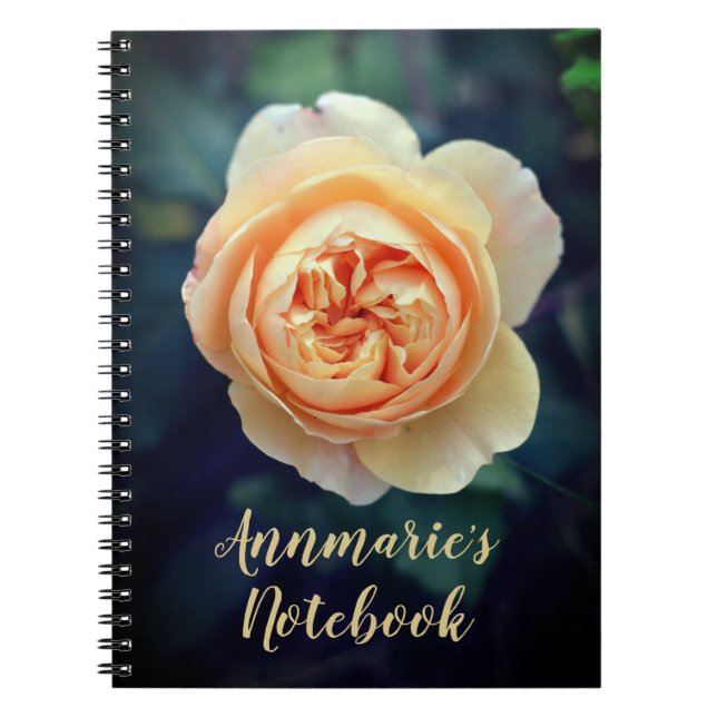 Peachy Orange Garden Rose Flower Personalized Notebook (Front)