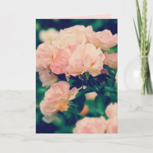 Peachy Pink Roses Any Occasion Greeting Card