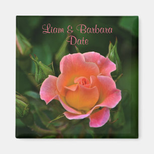 Peachy Pink Wedding Rose Magnet