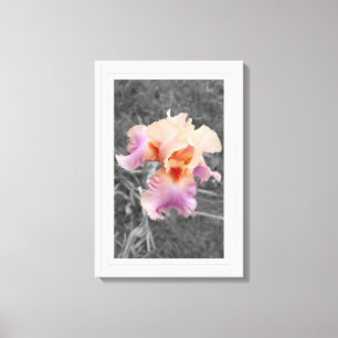Peachy Purple Canvas Print