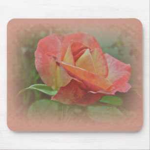 Peachy Rose Blossom Mouse Pad