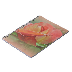 Peachy Rose Blossom Notebook