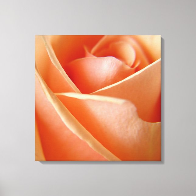 Peachy Rose Canvas Print (Front)