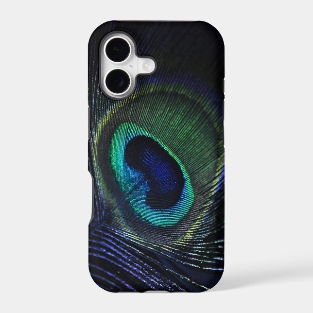 Peacock (Back)