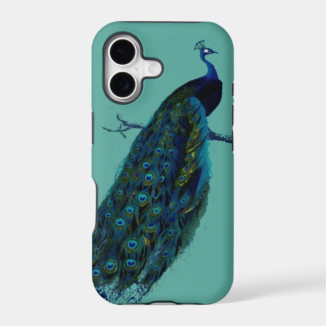 Peacock (Back)